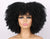 Sass Kinky Curly Synthetic Wig - Stretches up to 12 inches - Multiple Colors Available