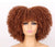 Sass Kinky Curly Synthetic Wig - Stretches up to 12 inches - Multiple Colors Available