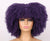 Sass Kinky Curly Synthetic Wig - Stretches up to 12 inches - Multiple Colors Available