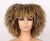 Sass Kinky Curly Synthetic Wig - Stretches up to 12 inches - Multiple Colors Available