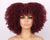 Sass Kinky Curly Synthetic Wig - Stretches up to 12 inches - Multiple Colors Available